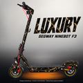 SEGWAY NINEBOT F3 / F3 PRO SKIN | LUXURY – Studiofoto mit Licht in der Skinfarbe; Scooter und Beleuchtung separat erhältlich