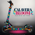 KUKIRIN G2 PRO SKIN | CALAVERA BLOOM – Designvisualisierung im Studio-Look mit Licht in der Skinfarbe; Scooter nicht enthalten, Beleuchtung separat erhältlich