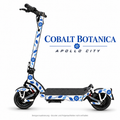 APOLLO CITY Skin – COBALT BOTANICA