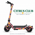 TRITTBRETT FRITZ Skin – CITRUS CLUB